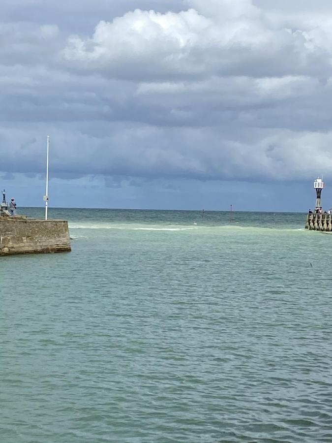 Super Appartement Cosy, Parking Prive Courseulles-sur-Mer Buitenkant foto